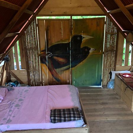 Chalet Cana Brava Buenaventura Eksteriør billede